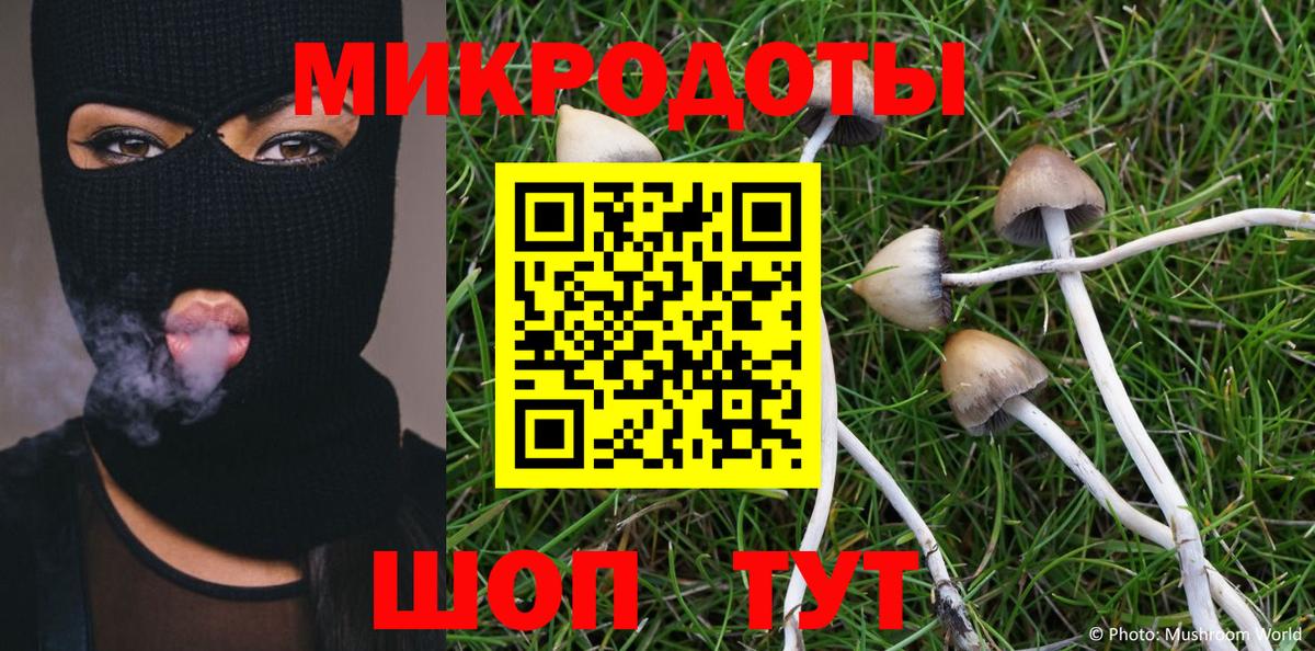 Галлюциногенные грибы GOLDEN TEACHER  Вход с VPN  Заречный 