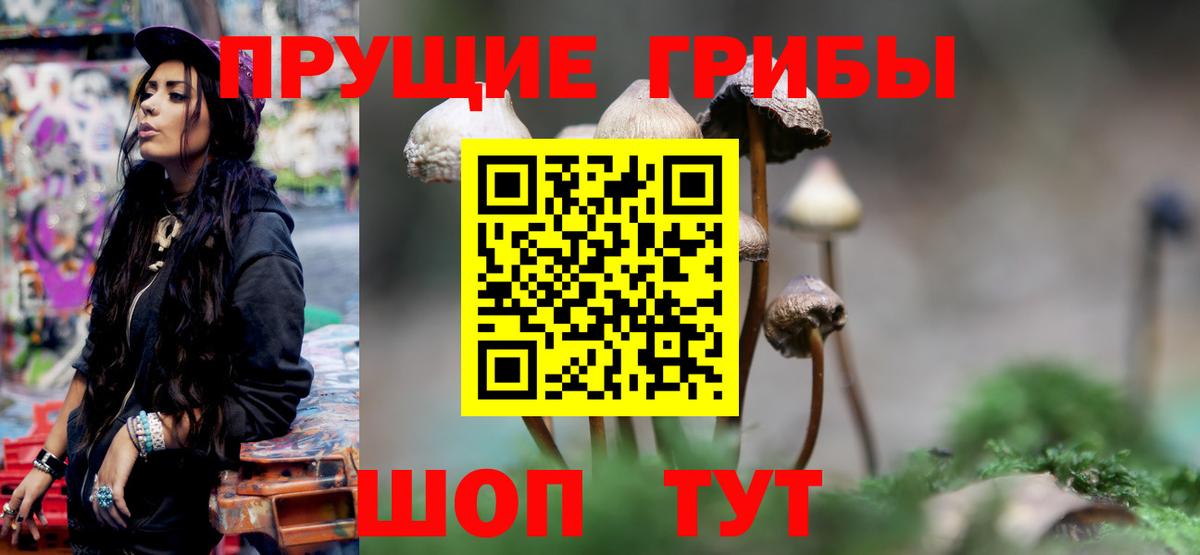Псилоцибиновые грибы мухоморы Заречный